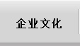 ɹ